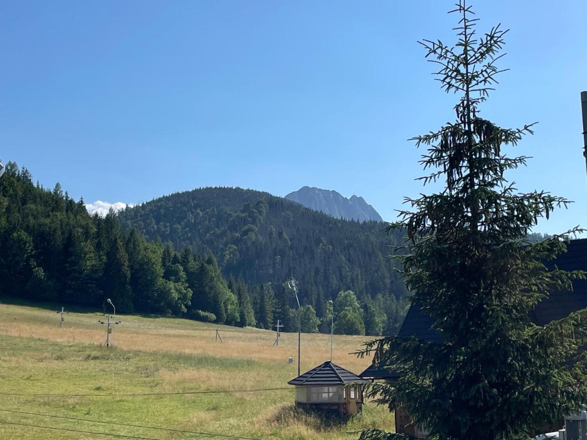Apartamenty Polana pod Nosalem - zachód Zakopane Exterior foto